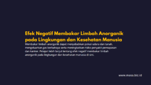 Efek Negatif Membakar Limbah Anorganik pada Lingkungan dan Kesehatan Manusia